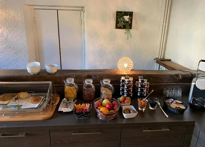 托马瑟之家酒店 酒店 欧里亚克