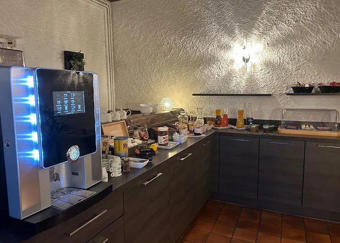 Logis La Thomasse Орийак